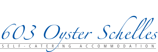  603 Oyster Schelles Vacation Apartment rental in Umhlanga